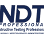 Non Destructive Testing Professionals L.L.C logo